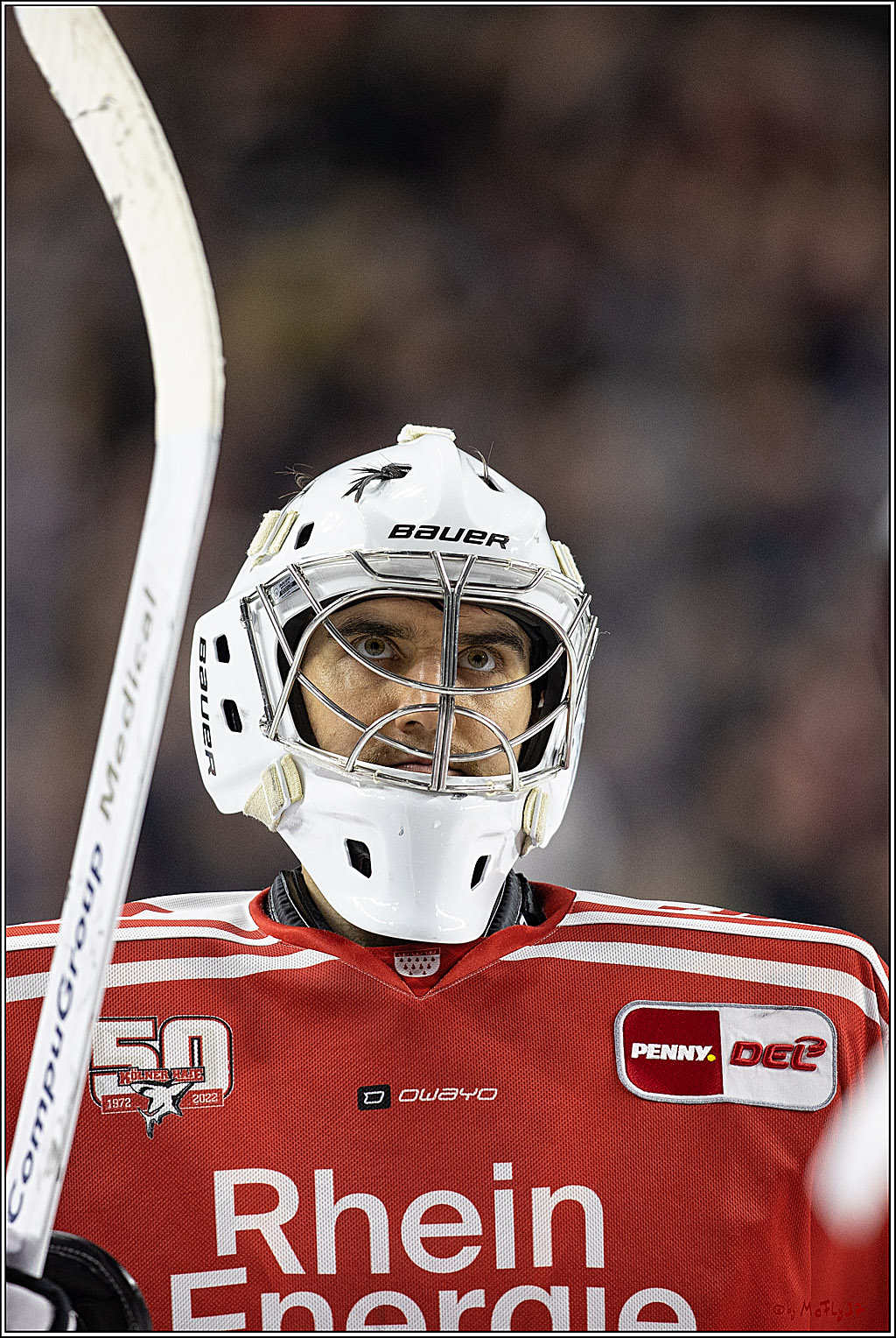 PENNY DEL;  Kölner Haie - Augsburger Panther; Köln, 20.12.2022